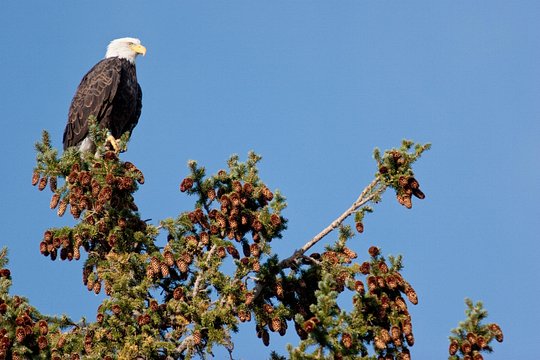 Tour image 6