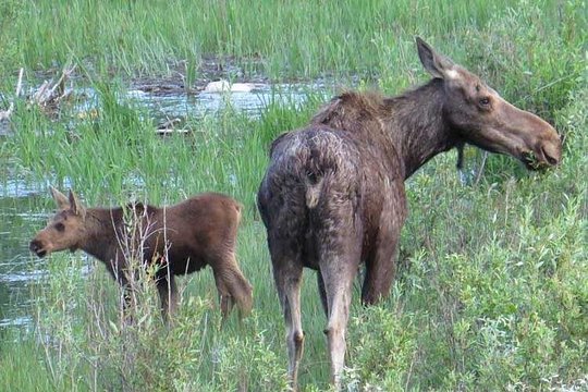 Tour image 11