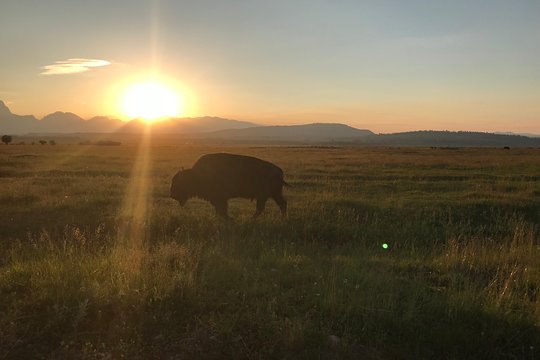 Tour image 8