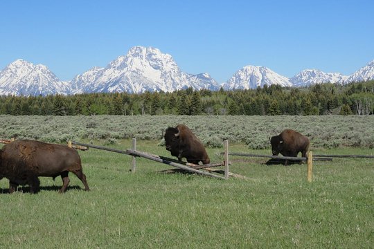 Tour image 14