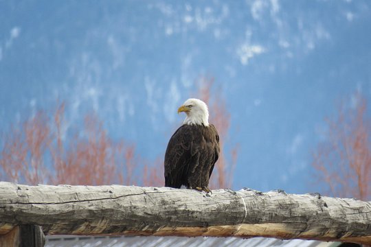 Tour image 5