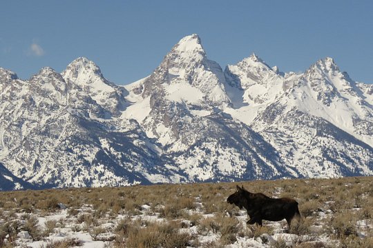 Tour image 10
